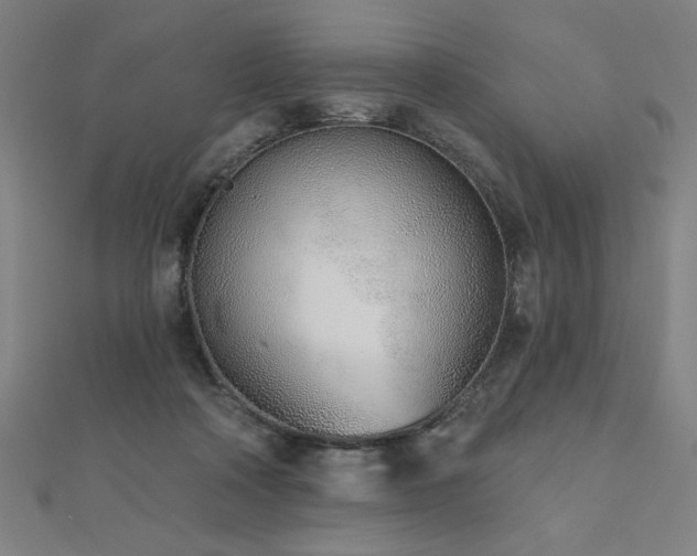 X0000112520314200908171400