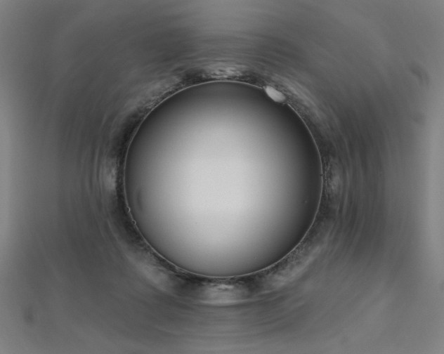 X0000112520315200908171400