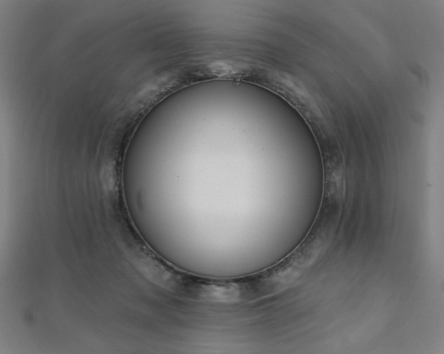 X0000112520317200908171400