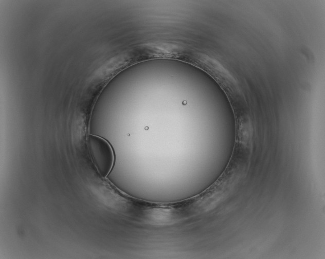 X0000112520318200908171400