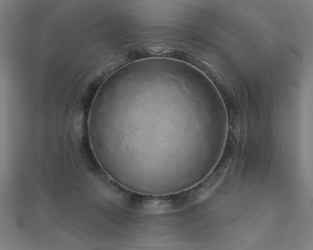 X0000112520319200908171400