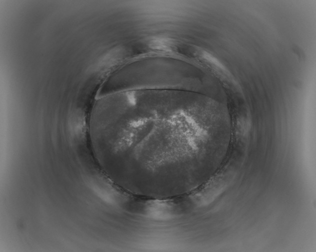 X0000112520320200908171400