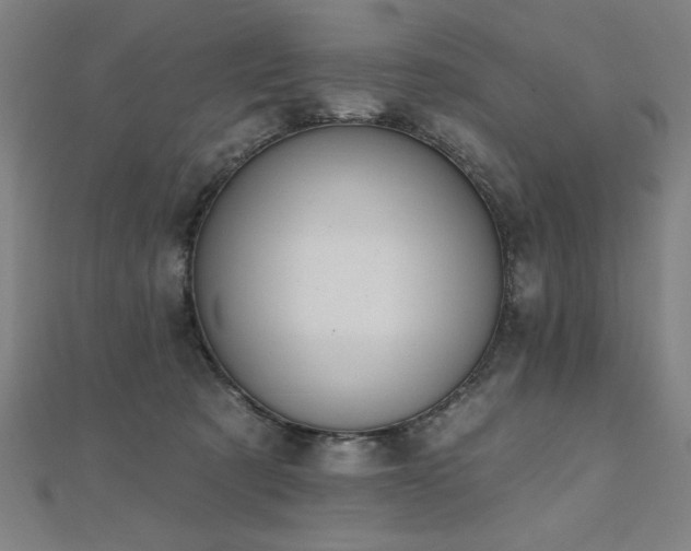 X0000112520321200908171400