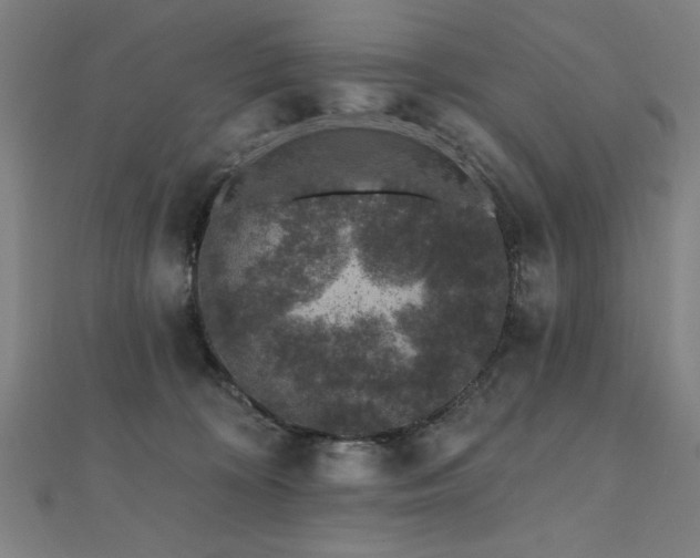 X0000112520324200908171400