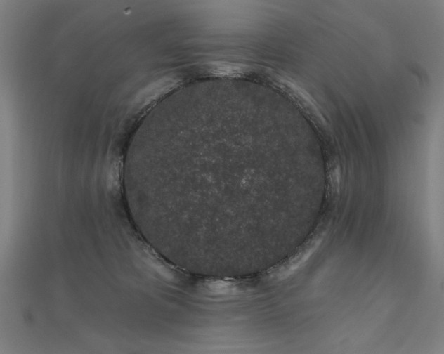 X0000112520325200908171400