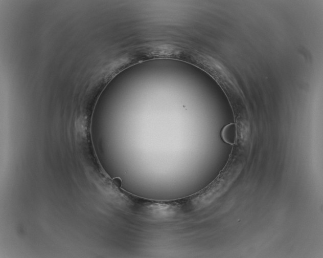 X0000112520326200908171400