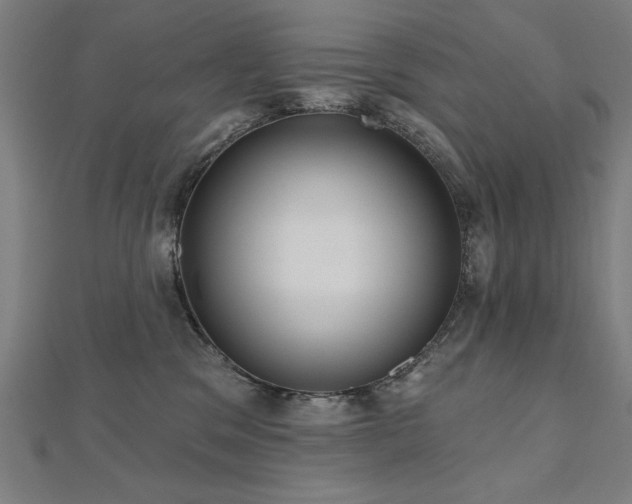 X0000112520329200908171400
