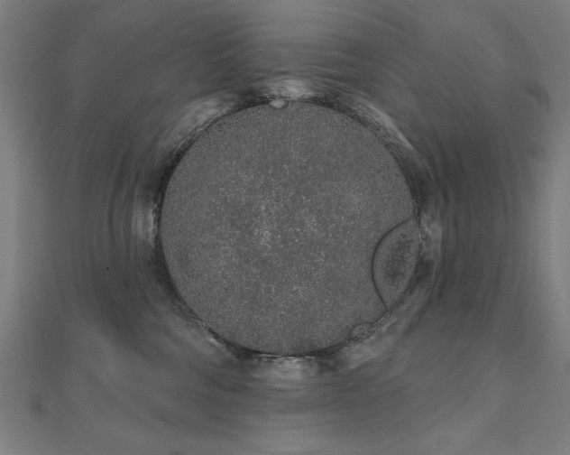 X0000112520330200908171400
