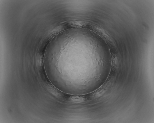 X0000112520331200908171400