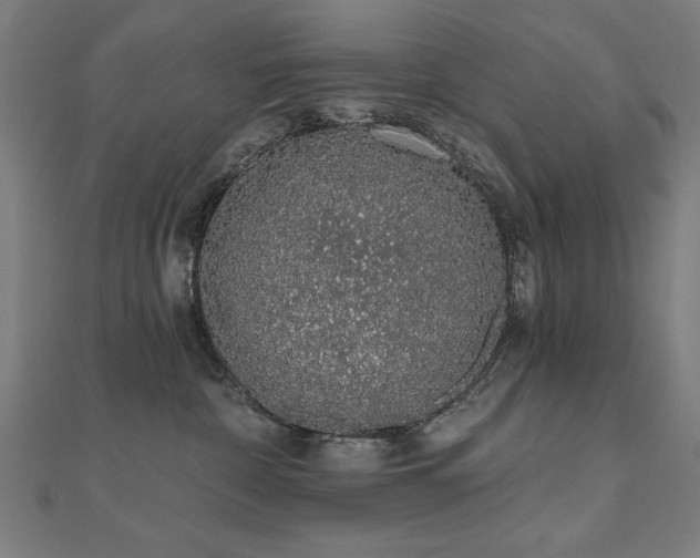 X0000112520332200908171400