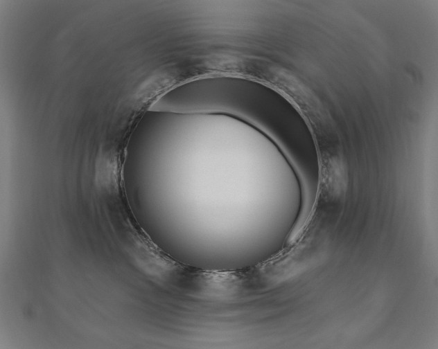 X0000112520333200908171400