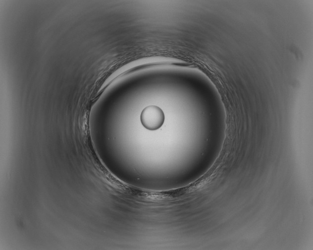 X0000112520336200908171400