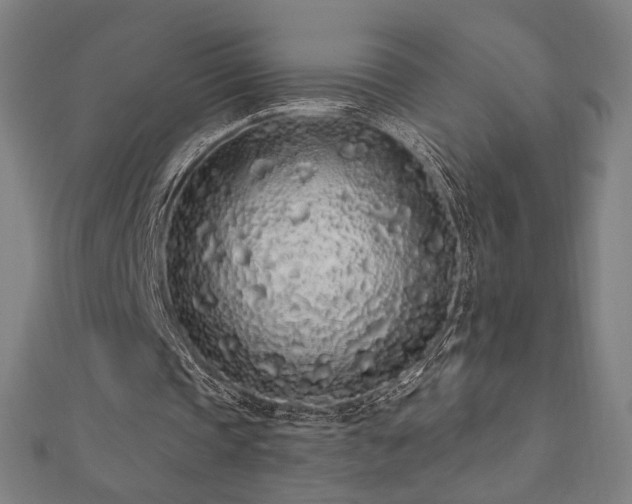 X0000112520337200908171359