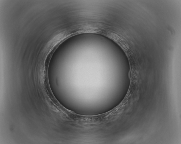 X0000112520338200908171359
