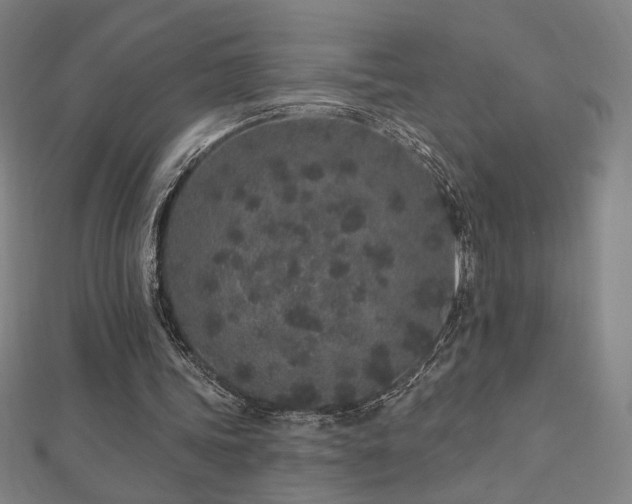 X0000112520339200908171359