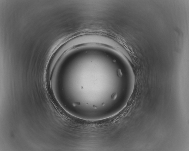 X0000112520340200908171359
