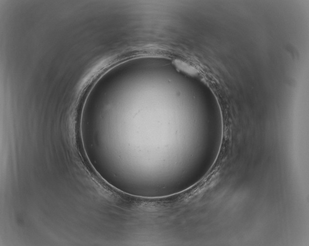 X0000112520341200908171359