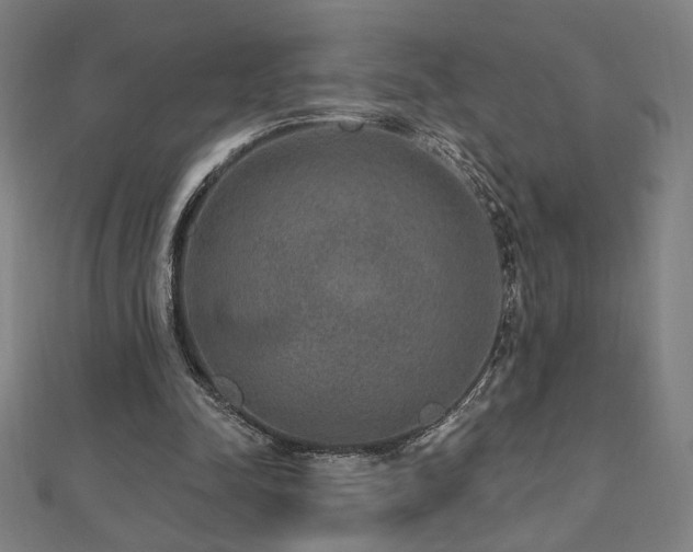 X0000112520342200908171359