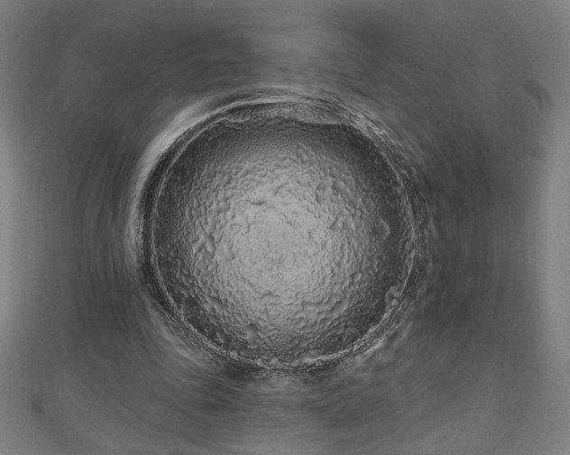 X0000112520343200908171359
