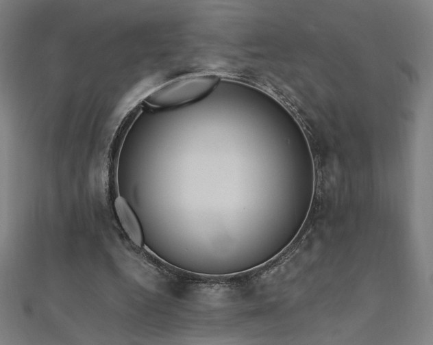 X0000112520344200908171359