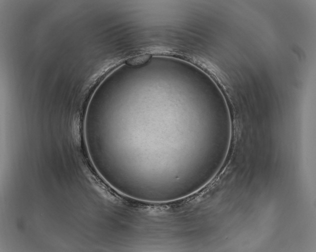 X0000112520345200908171359
