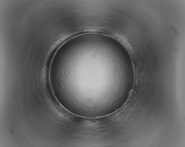 X0000112520346200908171359
