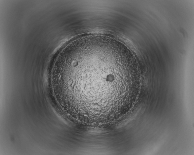 X0000112520347200908171359