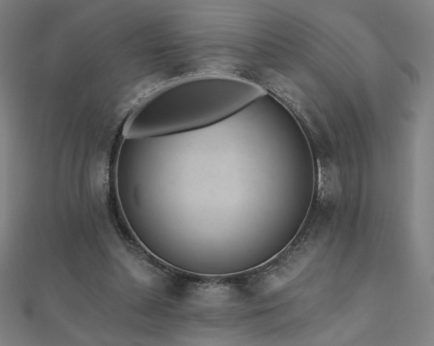 X0000112520348200908171359