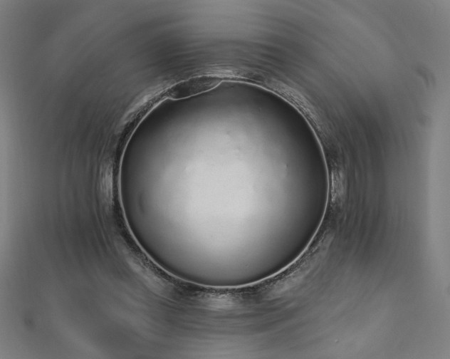 X0000112520349200908171359