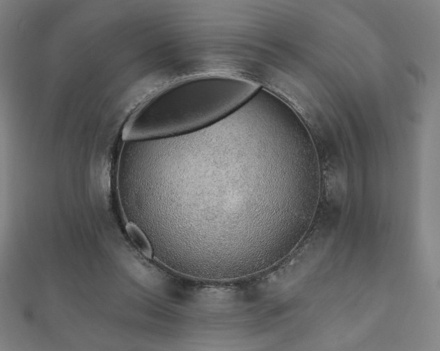 X0000112520350200908171359