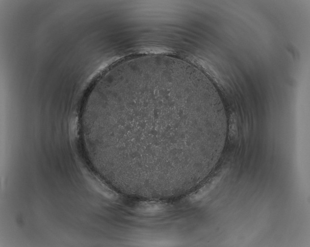 X0000112520351200908171359