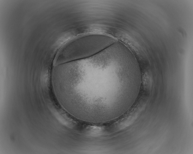 X0000112520352200908171359