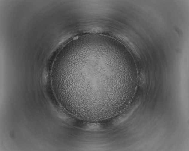 X0000112520355200908171359