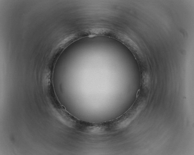 X0000112520356200908171359