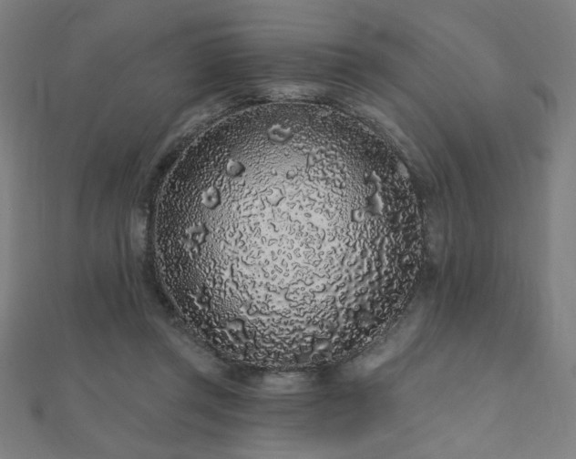 X0000112520357200908171359