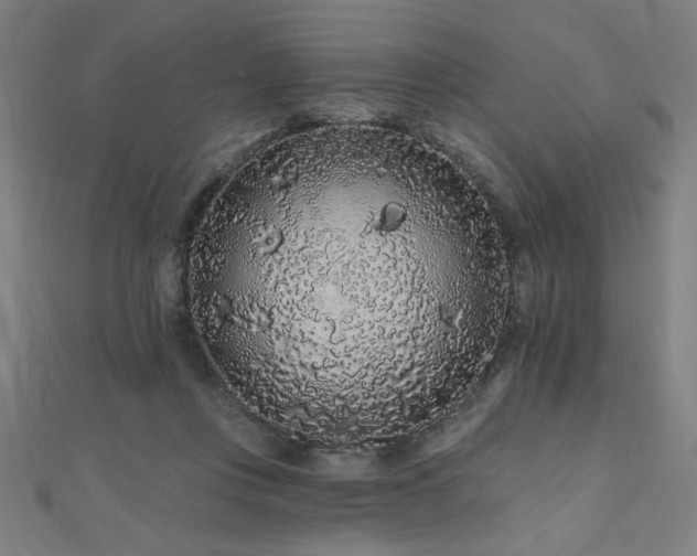X0000112520359200908171359
