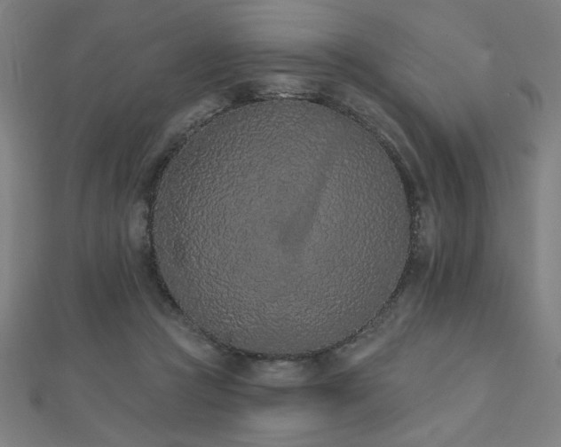 X0000112520361200908171359