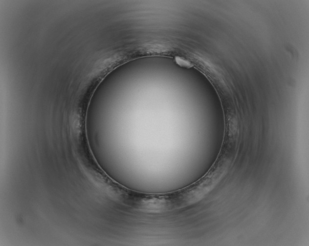 X0000112520362200908171359