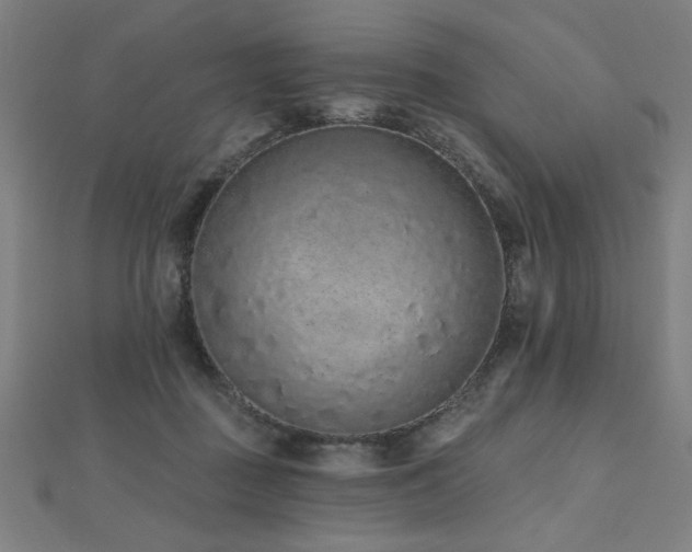 X0000112520363200908171359