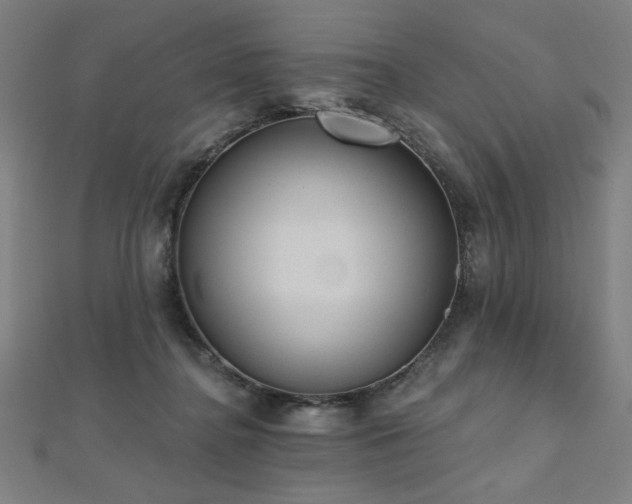 X0000112520364200908171400