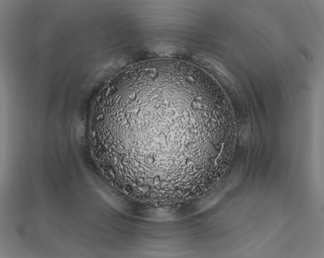 X0000112520365200908171400