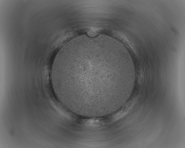X0000112520366200908171400