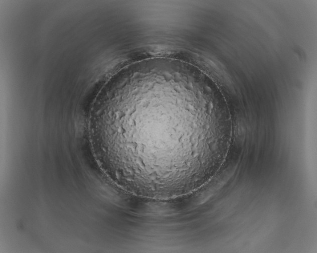 X0000112520367200908171400