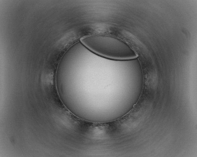 X0000112520368200908171400