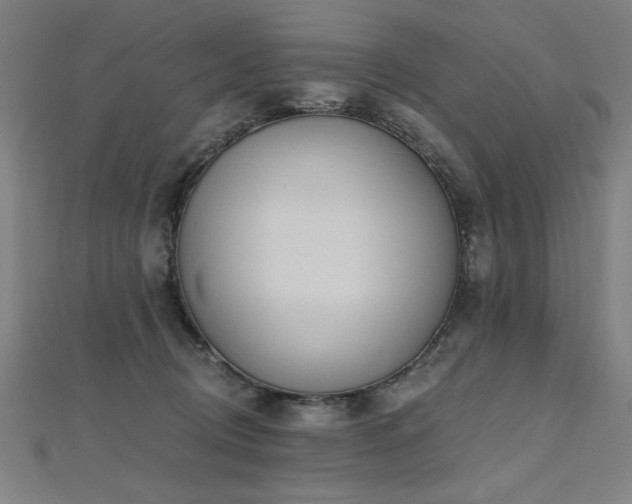 X0000112520370200908171400