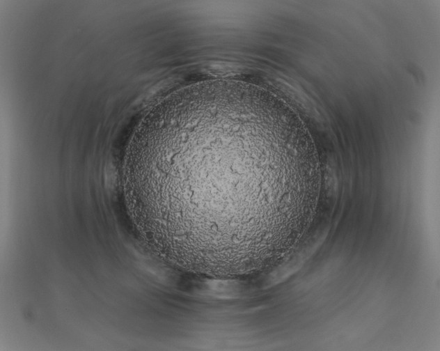 X0000112520371200908171400