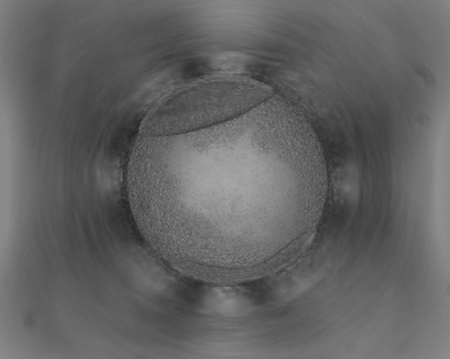 X0000112520372200908171400