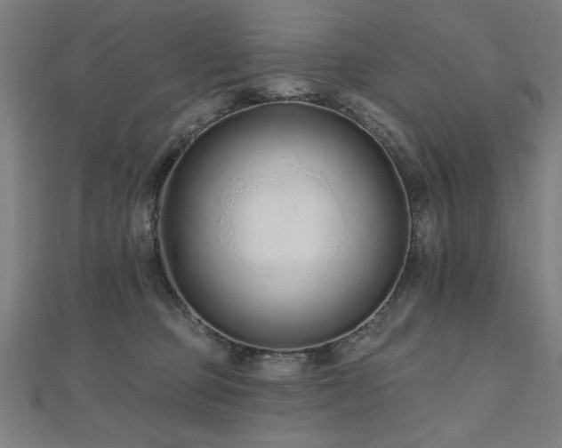 X0000112520373200908171400