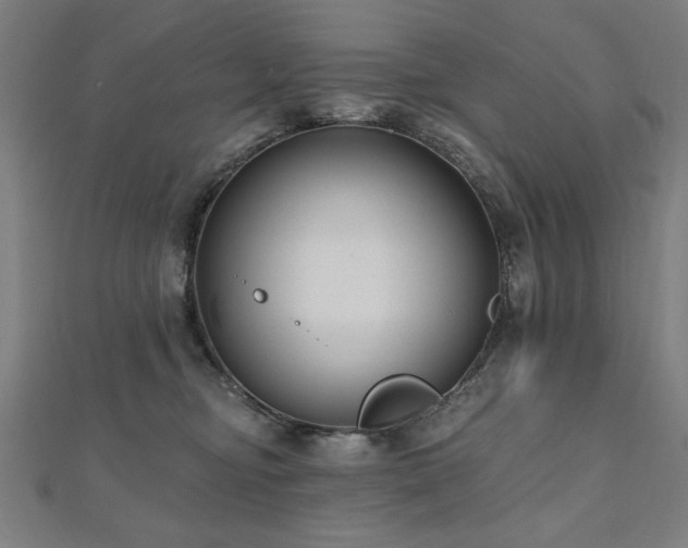 X0000112520374200908171400