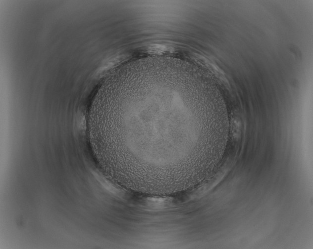 X0000112520375200908171400